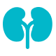 Nephrology